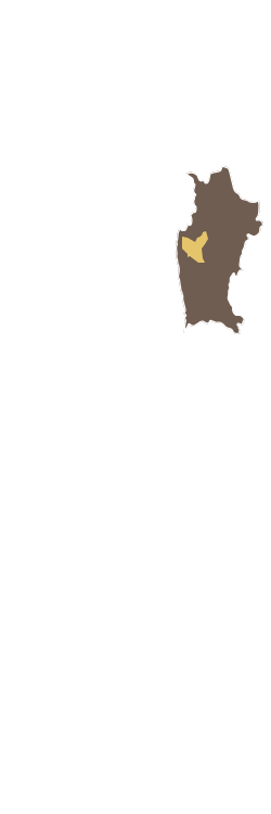 Valle del Limarí